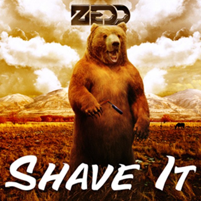 Capa de Shave It